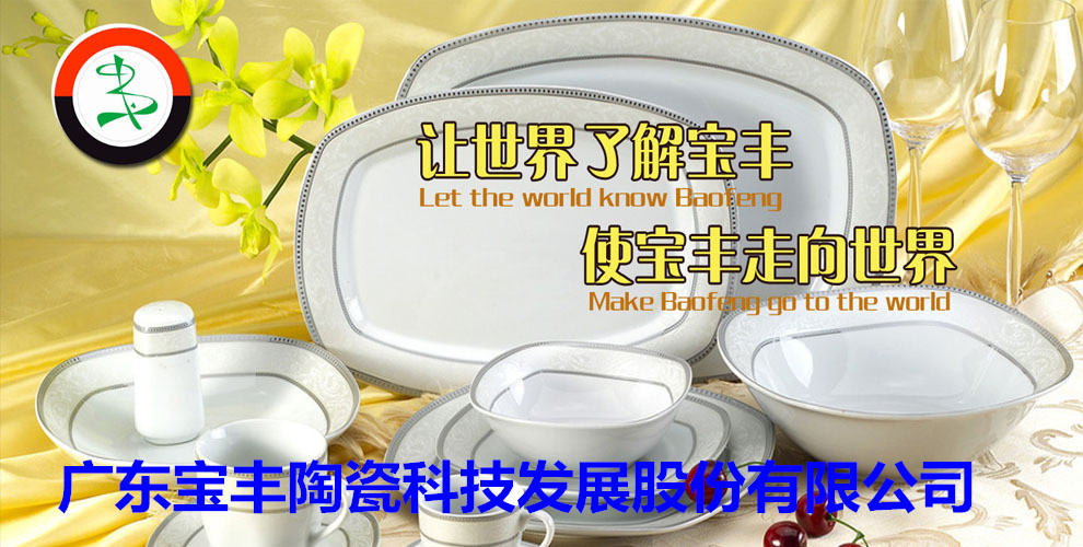 廣東寶豐陶瓷科技發(fā)展股份有限公司成立于2003年，占地總面積5萬(wàn)平方米，建筑面積3萬(wàn)平方米，2004年10月建成投產(chǎn)?，F(xiàn)擁有兩條先進(jìn)遂道窯生產(chǎn)線(xiàn),主要生產(chǎn)中高檔日用陶瓷，產(chǎn)品遠(yuǎn)銷(xiāo)歐美，東南亞等國(guó)家。